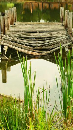 怀化seo优化截图3