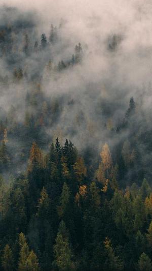 网站建设seo截图3