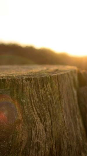 苏州seo优化工具截图3