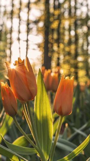 东莞网站的建设截图4