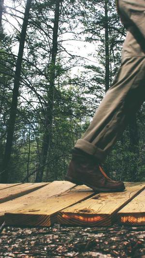 网站seo推广工具 sit截图2