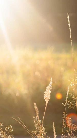 seo深度优化截图2