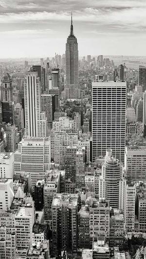 蜘蛛池在线截图1