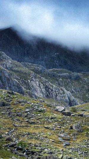 蜘蛛池到底有没有用的截图3