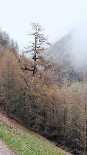 泛目录 无效截图3