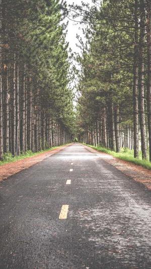 潍坊 网站建设截图2