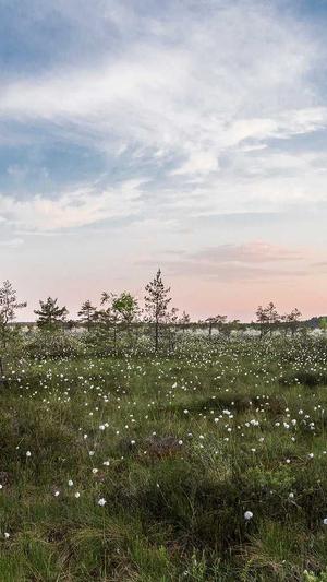 免费蜘蛛池搭建教程截图3