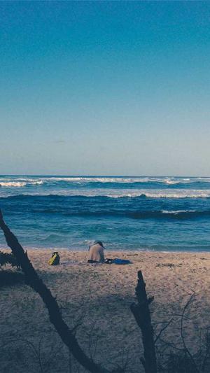 泛目录内页站群程序截图1