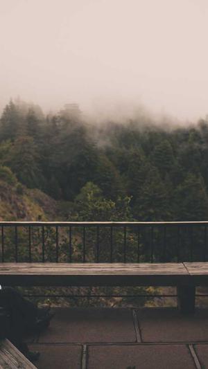 泛目录站群程序截图4