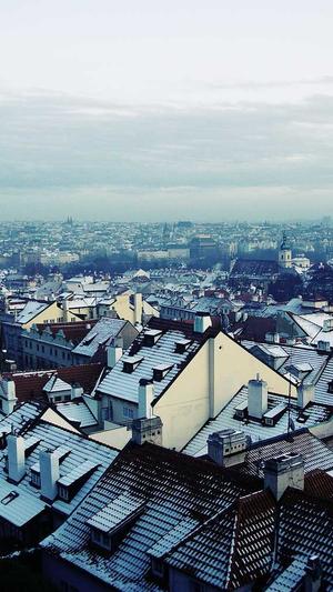 seo自动推广工具黑帽seo截图1