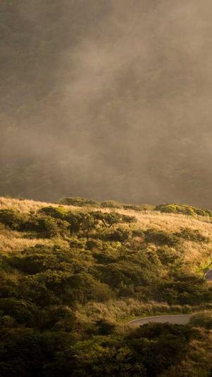 刷关键字排名seo工具截图5