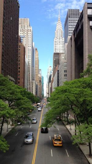 seo关键词排名优化工具截图2