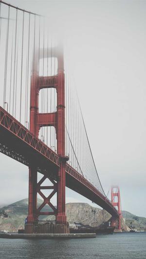 泛目录优化会被百度截图4