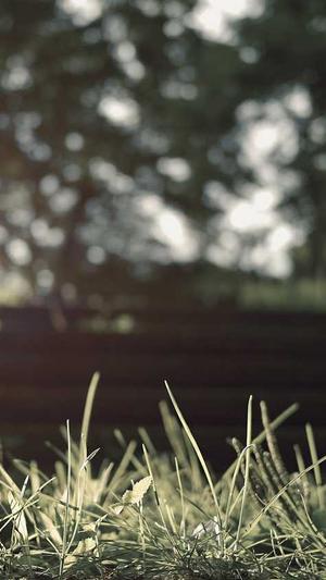 seo工具网站截图1