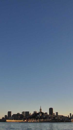 SEO工具下载截图2