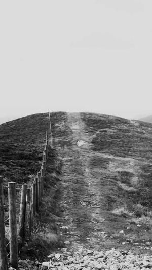 重庆网站seo好不好截图1