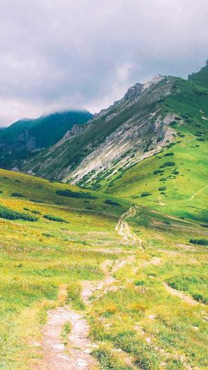 seo优化工具技巧截图3