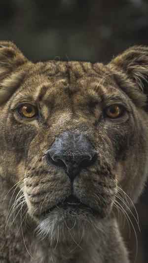 泛目录 无效截图2