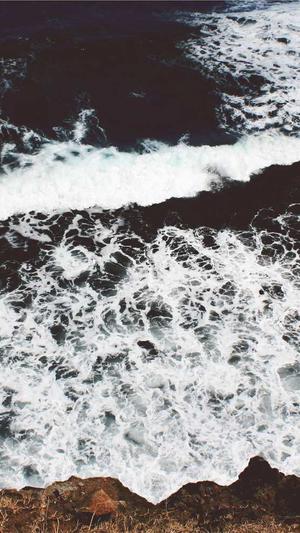 泛目录为什么收录那么多截图2