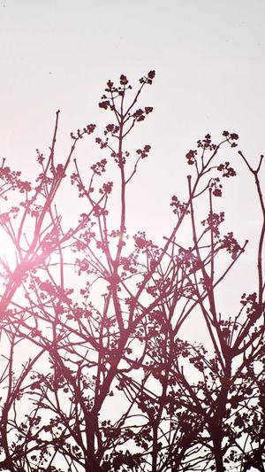 昆山网站建设截图1