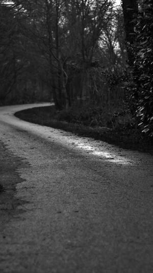 seo自动生成工具霸屏截图5