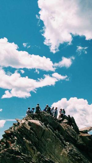 seo综合工具截图2