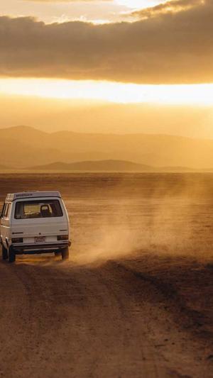 泛目录站群截图2