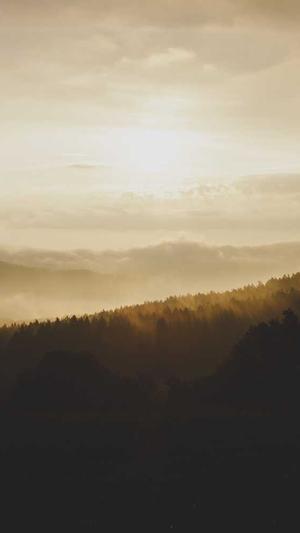 南昌网站建设公司截图1