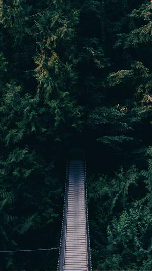 杭州seo关键词排名工具截图3