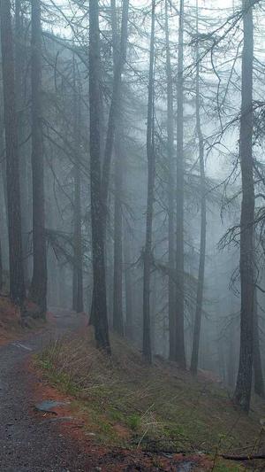 seo快速优化截图3