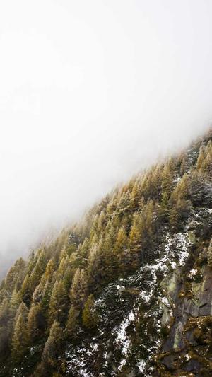 seo排名工具薇薪enuo6688截图1