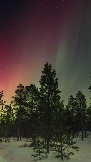 泛目录seo推广截图3