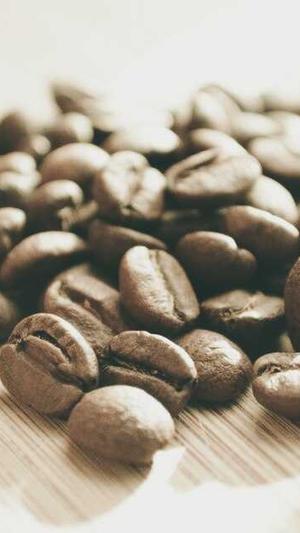 广州知名网站建设哪家公司好截图3