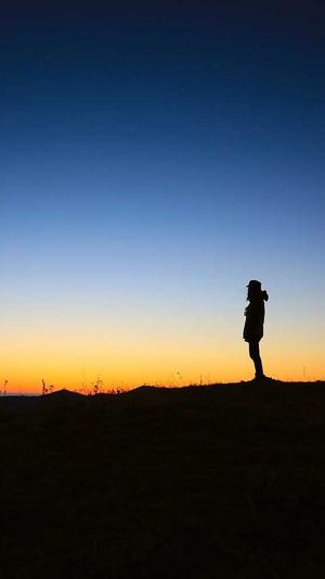 自己搭建蜘蛛池价格截图1