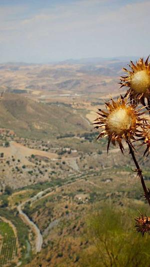 seo优化关键词工具截图3