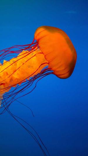 长沙网站建设要多少钱截图2