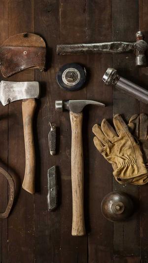 红蜘蛛池程序截图4