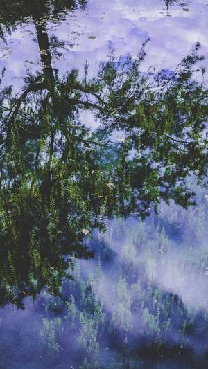 巩义网站建设截图3