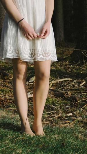 西安seo优化软件工具截图3