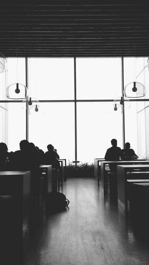 泛目录站群软件最新版截图1