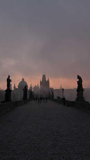 泛目录程序出售截图5