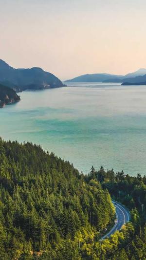 seo关键词工具截图2