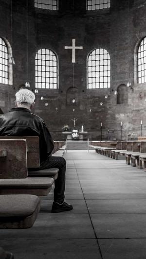 上海蜘蛛池出租截图4