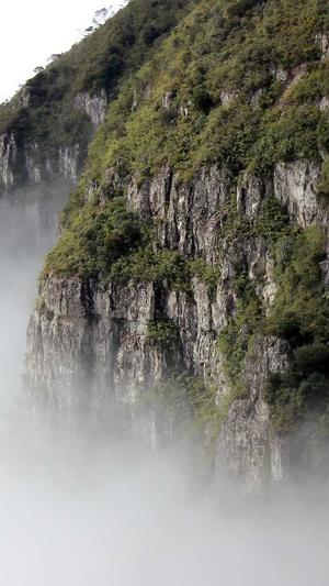 泛目录霸屏站群排名截图4