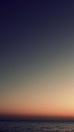 seo优化技术截图2