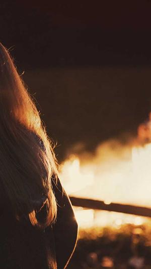 广州seo公司截图3