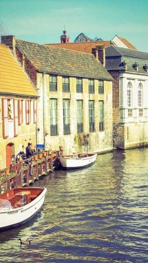 泛目录最新截图1