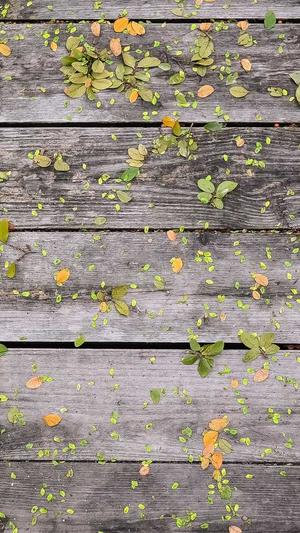 seo基础工具全集截图1