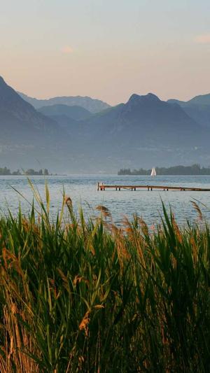 重庆网站建设来沛宣截图2