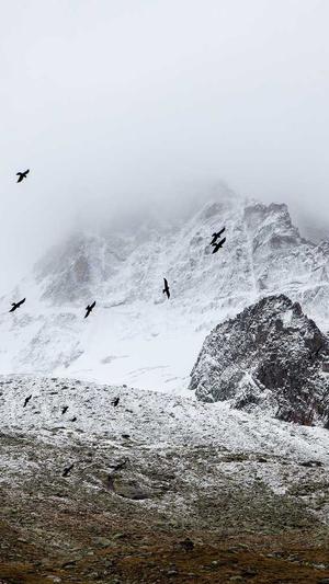 泛解析和泛目录截图3